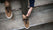 Our couleur naturelle cuir de veau Belèratt baskets - Wear picture 1