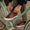 Our couleur naturelle cuir de veau Belèratt baskets - Wear picture 4