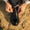 Our couleur naturelle cuir de veau Ganivèll derbies - Wear picture 4