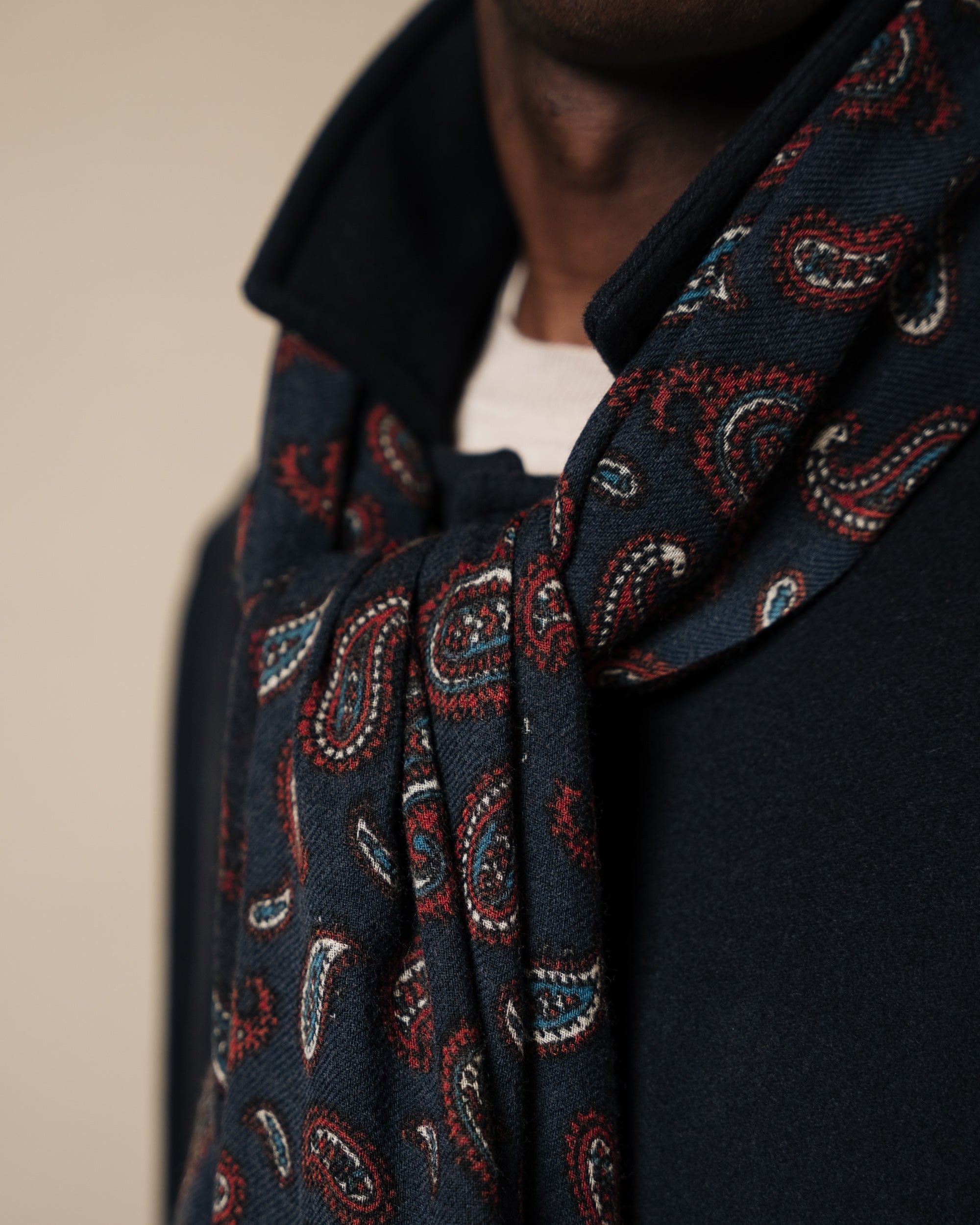 StyleBREAKER écharpe Tube En Boucle Comme Imprimé Animal Et Motif Paisley 01014010 Couleurnoir Amz B008a0ndns