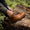 Our couleur naturelle cuir de veau Giasee bottes country - Wear picture 1